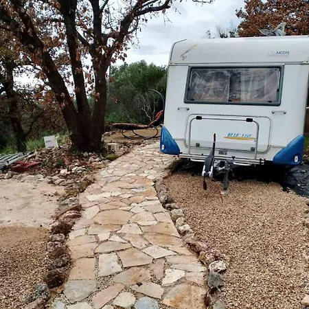 Terra Oliva